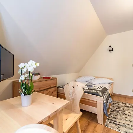 Na Polanie Z Jacuzzi 3* Kościelisko