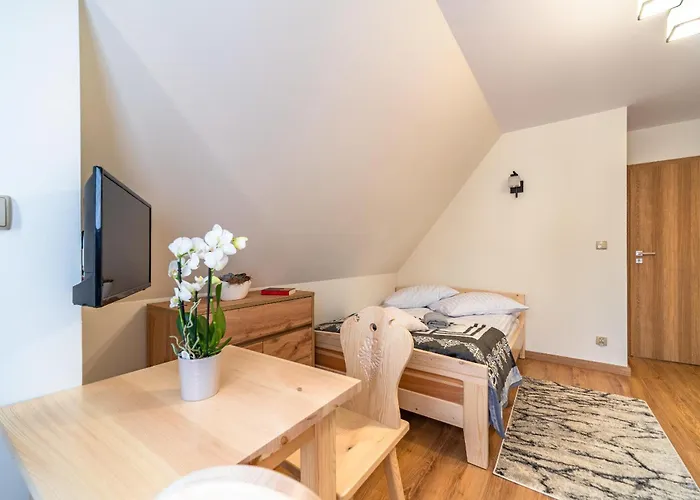 Na Polanie Z Jacuzzi 3* Kościelisko